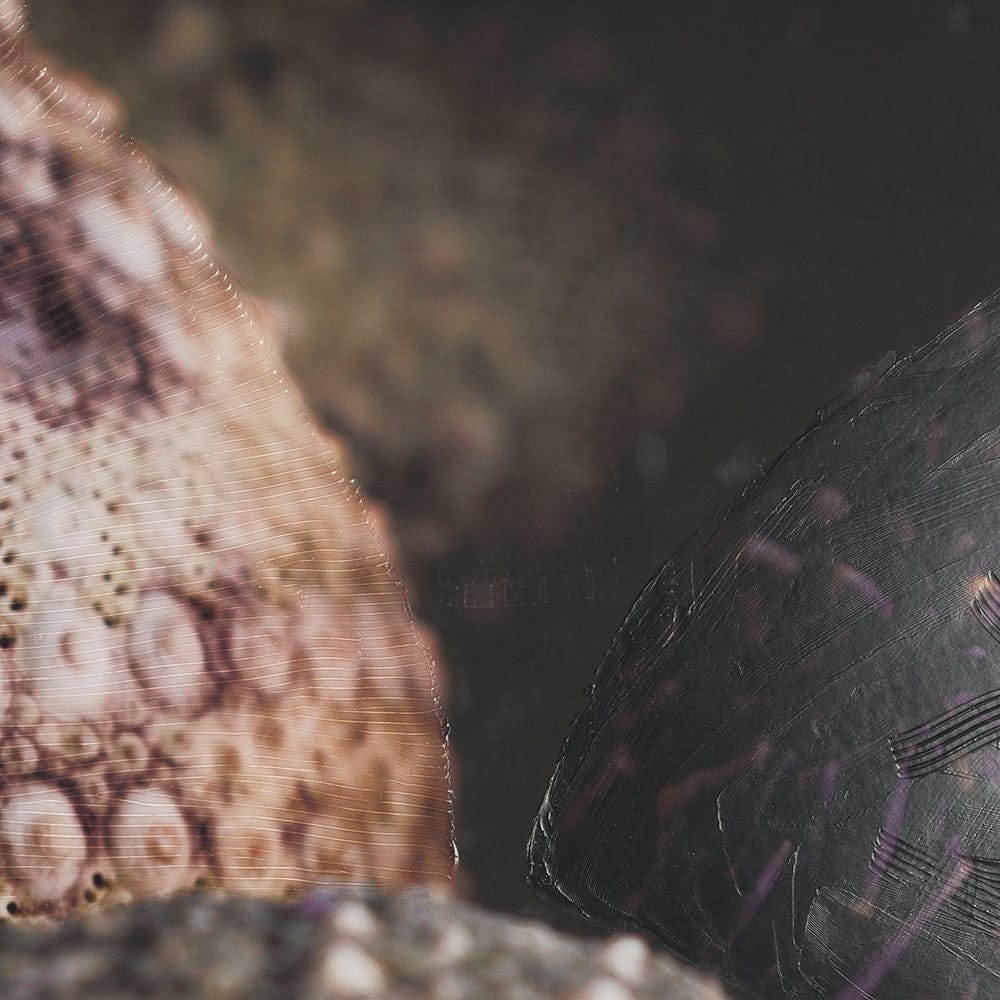 Mercana - Purple Sea Urchins by Nathan Larson a Hand Embellished Framed Art Print Matted under Glass - 15833 view 6