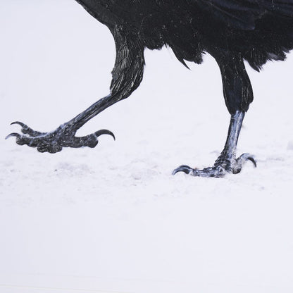 Mercana - Raven Beauty by Gary Blatter a Hand Embellished Textured Framed Art Print Matted under Glass - 15383 view 7