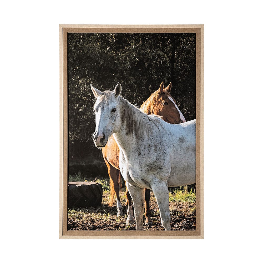 Mercana - Rebel & Tinder by Katelyn Mostert a Framed Art Print Matted under Glass - 13513 view 1