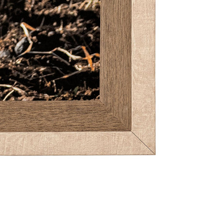 Mercana - Rebel & Tinder by Katelyn Mostert a Framed Art Print Matted under Glass - 13513 view 4