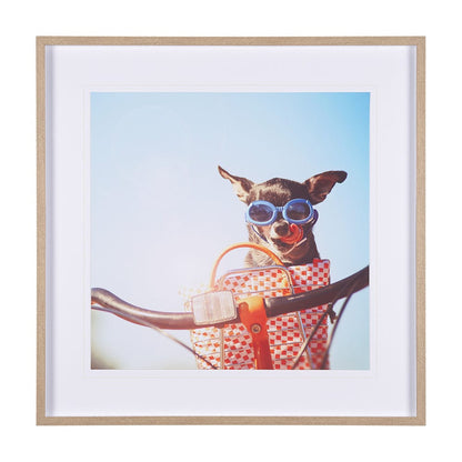 Mercana - Retro Chihuahua by THE Studio a Framed Art Print Matted under Glass - 15361 view 1