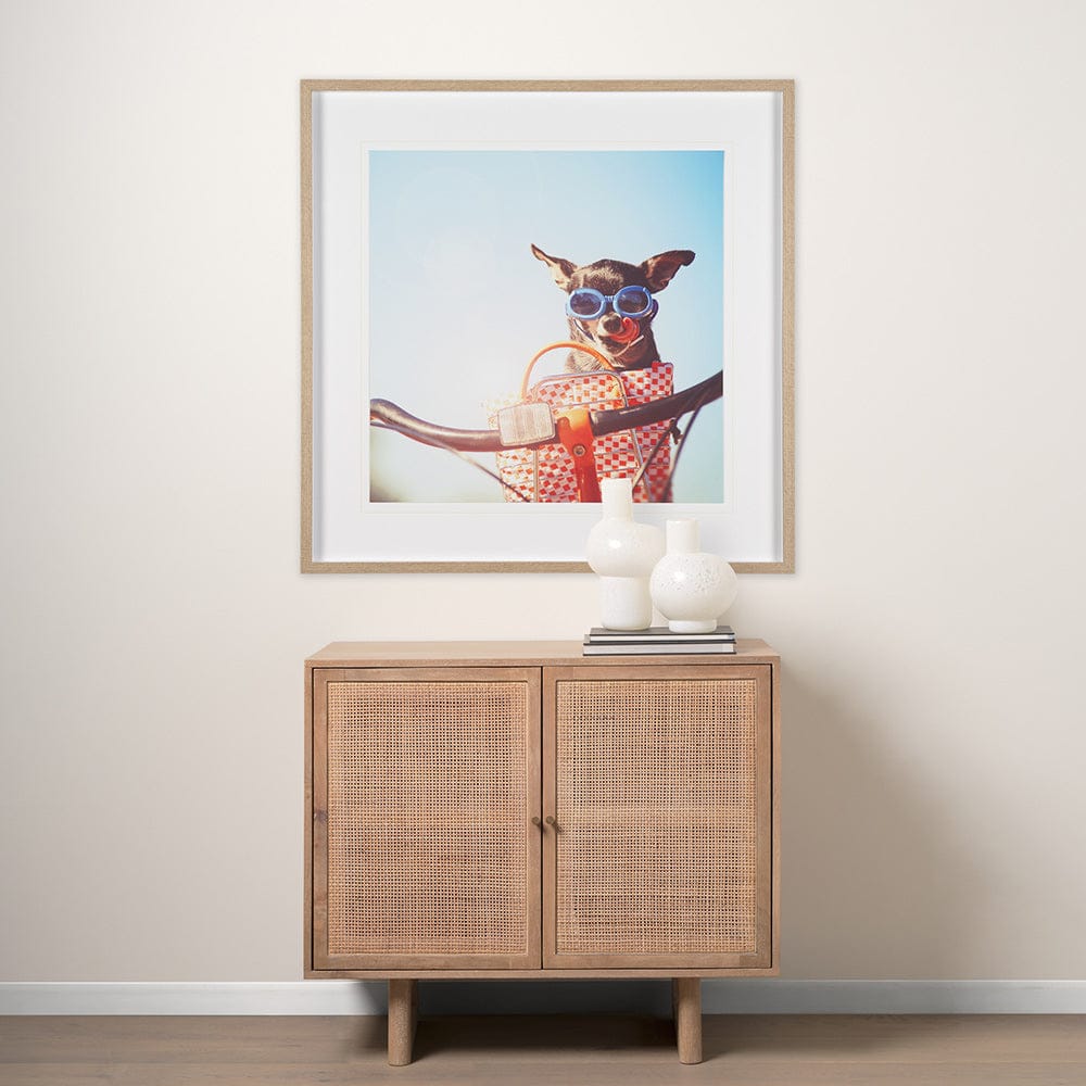 Mercana - Retro Chihuahua by THE Studio a Framed Art Print Matted under Glass - 15361 view 8