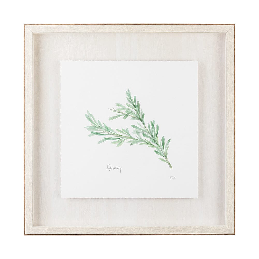 Mercana - Rosemary v2 by Chris Paschke a Framed Art Print Matted under Glass - 11343 view 1