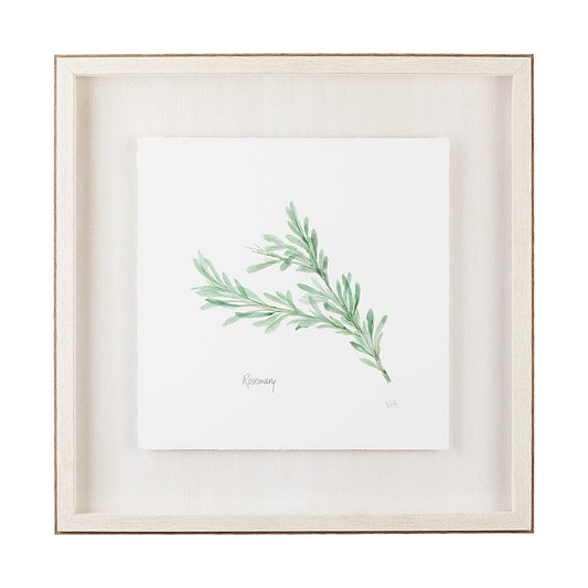 Mercana - Rosemary v2 by Chris Paschke a Framed Art Print Matted under Glass - 11343 view 1