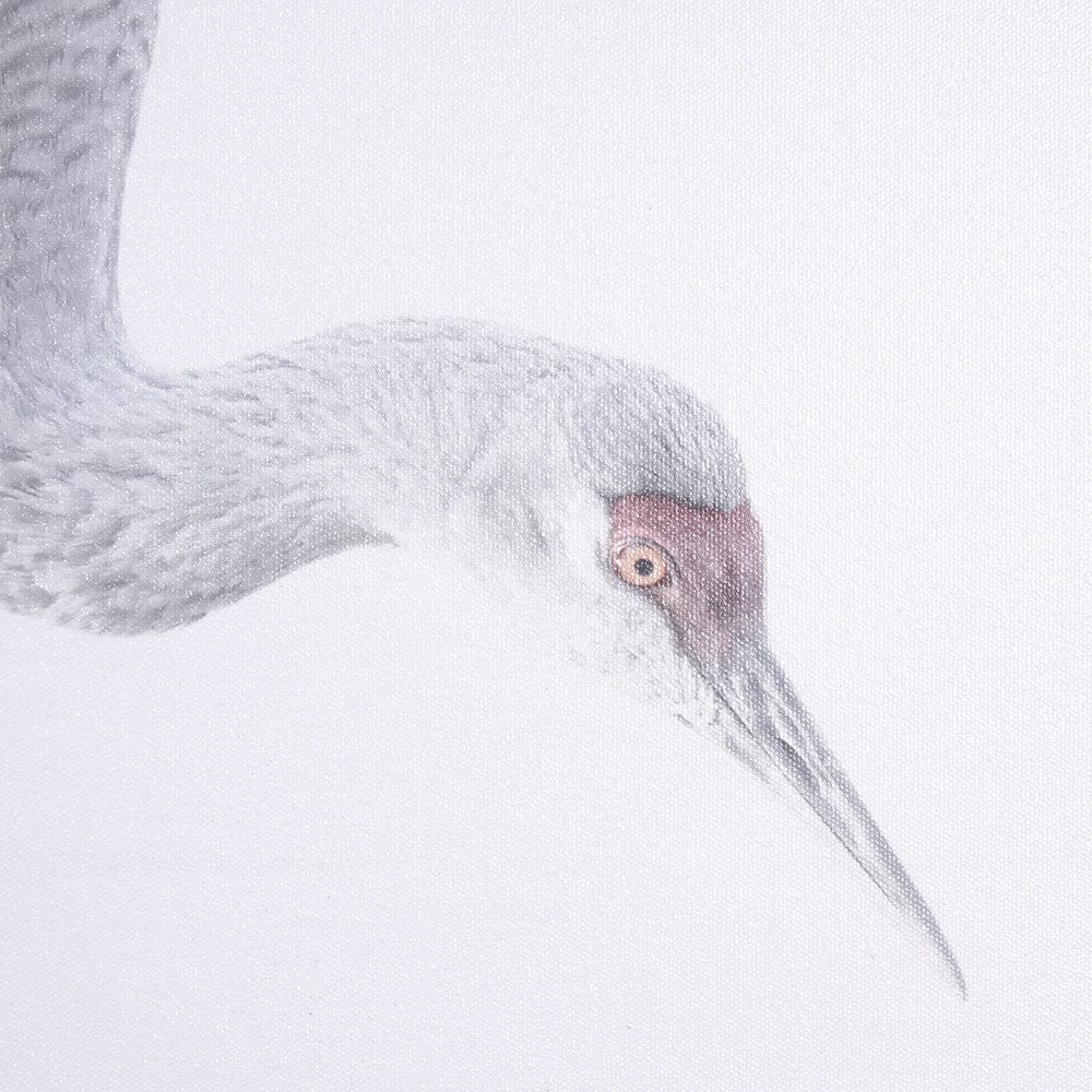 Mercana - Sandhill Crane I by Chad Mckay a Hand Embelished Textured Framed Art Print - 15416 view 6