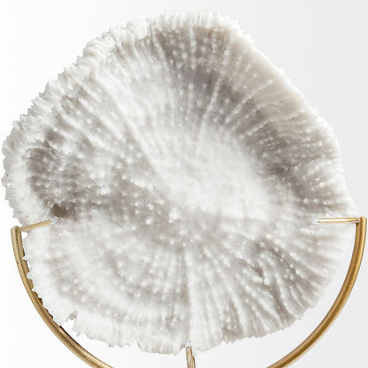 Mercana - Sandy I Small 6L x 3W White Coastal Sand Dollar Object - 67982_CLOSEOUT view 2