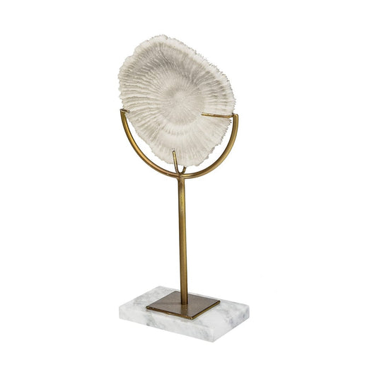 Mercana - Sandy II Medium 6L x 3W White Coastal Sand Dollar Object - 67983_CLOSEOUT view 1