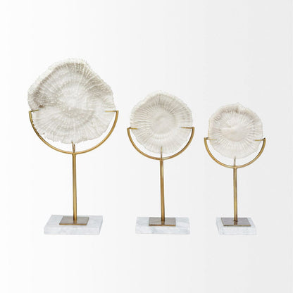 Mercana - Sandy II Medium 6L x 3W White Coastal Sand Dollar Object - 67983_CLOSEOUT view 2