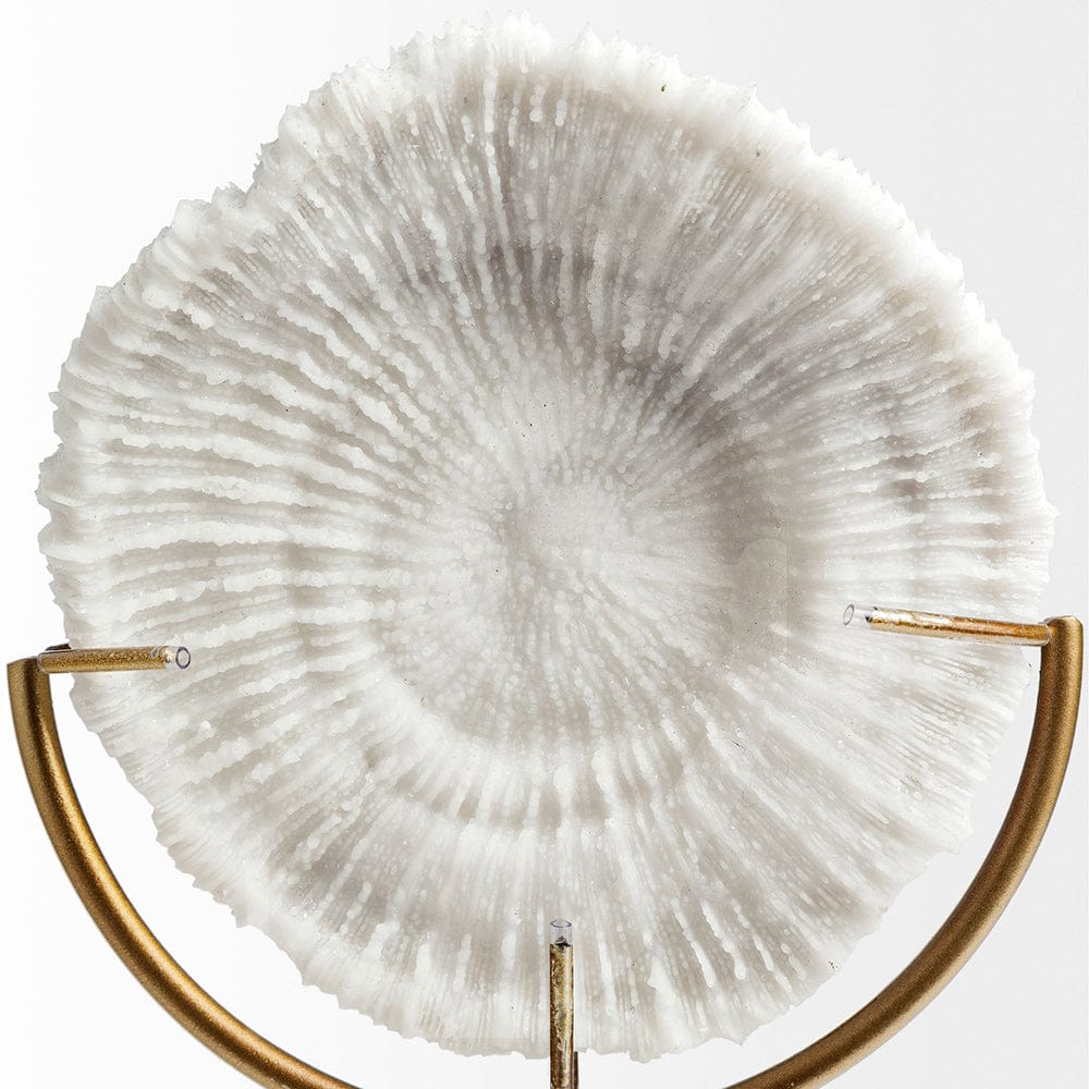 Mercana - Sandy II Medium 6L x 3W White Coastal Sand Dollar Object - 67983_CLOSEOUT view 3