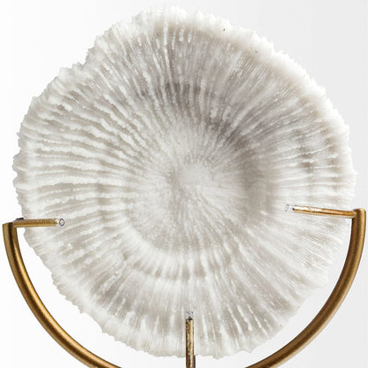 Mercana - Sandy II Medium 6L x 3W White Coastal Sand Dollar Object - 67983_CLOSEOUT view 3