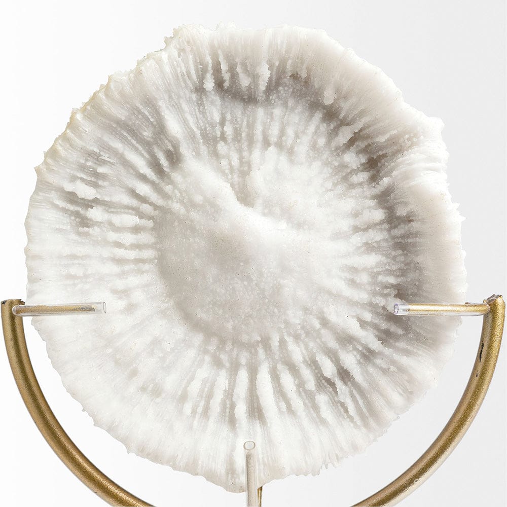 Mercana - Sandy III Large 8L x 4W White Coastal Sand Dollar Object - 67984 view 2