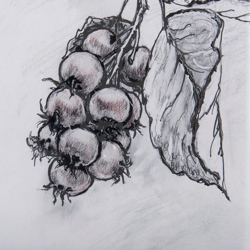 Mercana - Saskatoonberry by Mercana Studio Hand Embellished Framed Art Print Matted under Glass - 14074 view 8