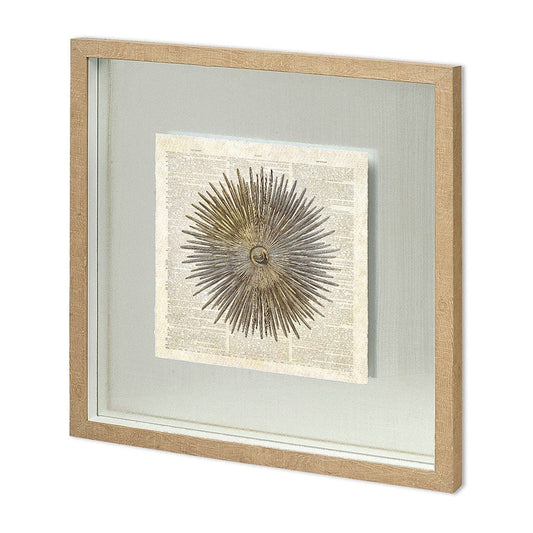 Mercana - Sea Urchin Pages by Christopher James Hand Embellished Textured Framed Art Print Matted under Glass - 11473 view 1