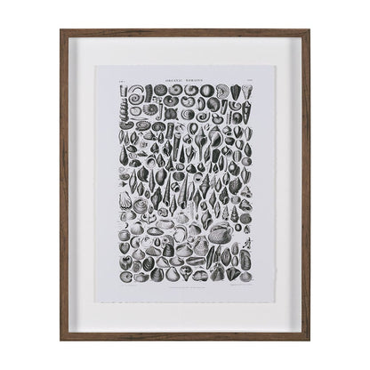 Mercana - Sealife II by Oliver Goldsmith a Hand Embellished Framed Art Print Matted under Glass - 15809 view 1
