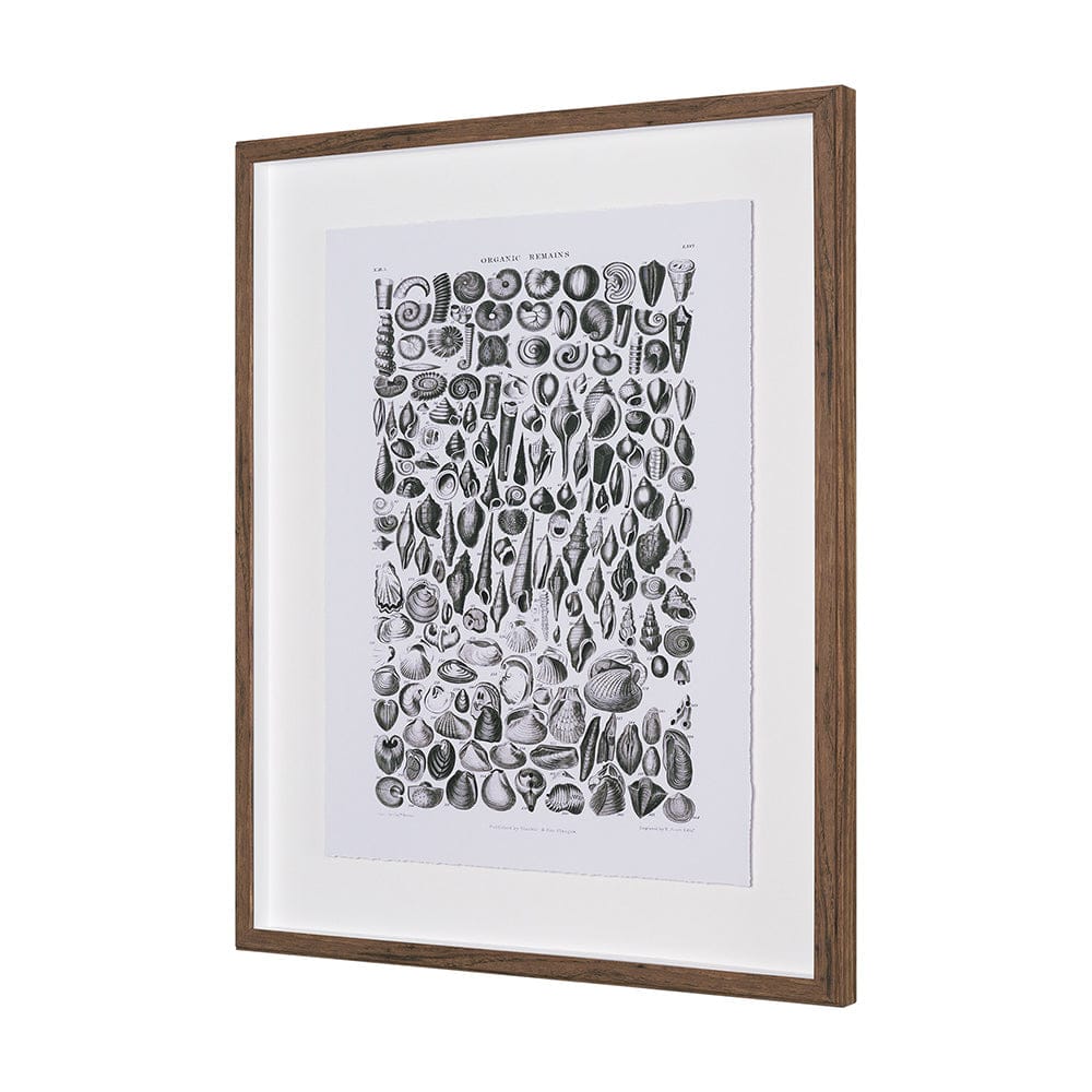Mercana - Sealife II by Oliver Goldsmith a Hand Embellished Framed Art Print Matted under Glass - 15809 view 2