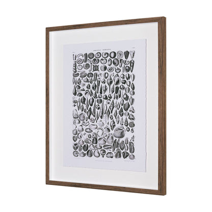 Mercana - Sealife II by Oliver Goldsmith a Hand Embellished Framed Art Print Matted under Glass - 15809 view 2