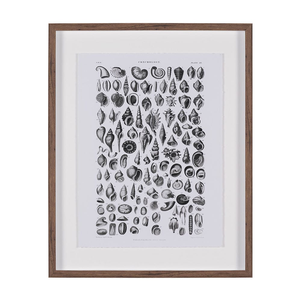 Mercana - Sealife III by Oliver Goldsmith a Hand Embellished Framed Art Print Matted under Glass - 15810 view 1
