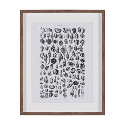 Mercana - Sealife III by Oliver Goldsmith a Hand Embellished Framed Art Print Matted under Glass - 15810 view 1