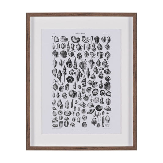 Mercana - Sealife III by Oliver Goldsmith a Hand Embellished Framed Art Print Matted under Glass - 15810 view 1