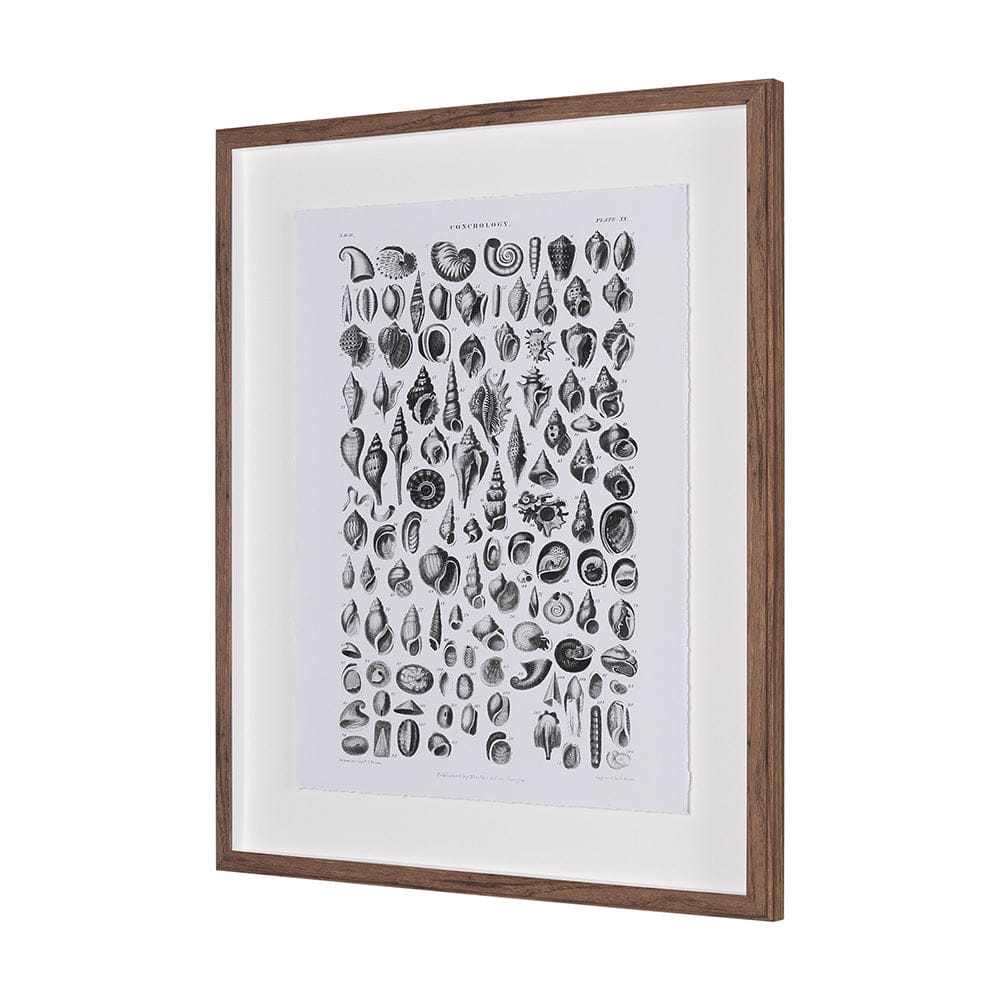 Mercana - Sealife III by Oliver Goldsmith a Hand Embellished Framed Art Print Matted under Glass - 15810 view 2