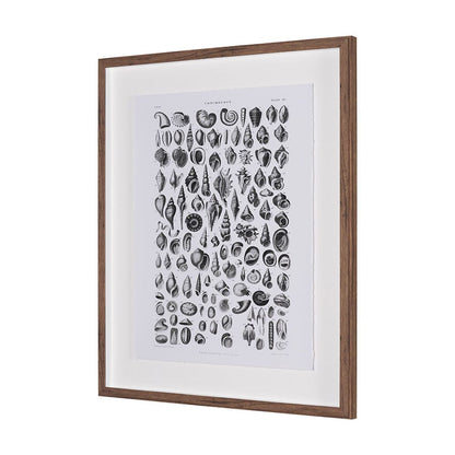 Mercana - Sealife III by Oliver Goldsmith a Hand Embellished Framed Art Print Matted under Glass - 15810 view 2