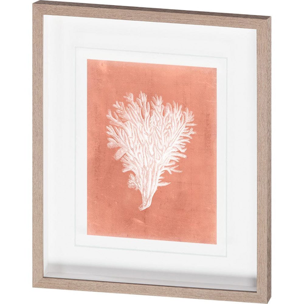 Mercana - Sealife on Coral II by Vision Studio a Hand Embellished Textured Framed Art Print Matted under Glass - 10105 view 1
