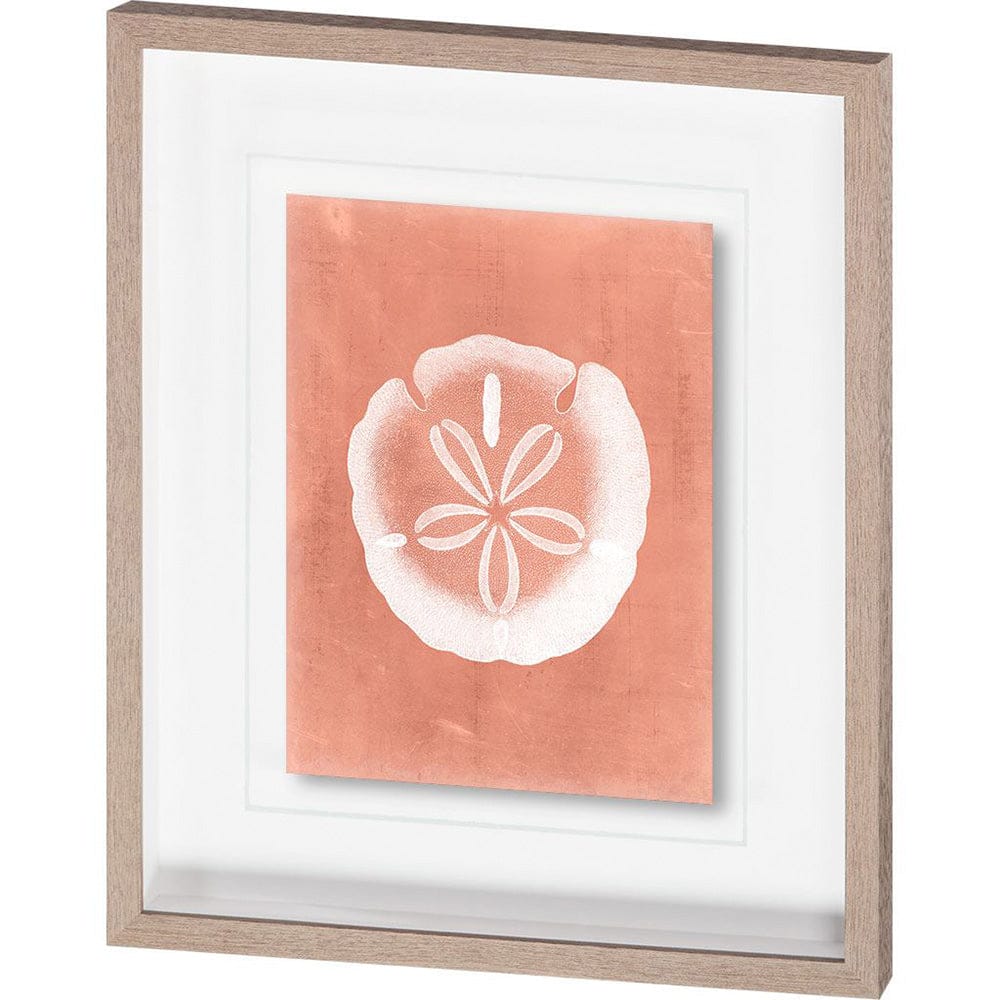 Mercana - Sealife on Coral IX by Vision Studio a Hand Embellished Textured Framed Art Print Matted under Glass - 10112 view 1