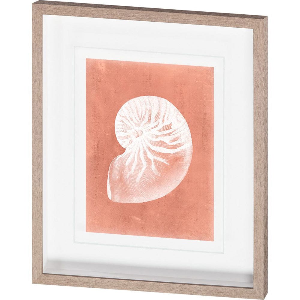 Mercana - Sealife on Coral V by Vision Studio a Hand Embellished Textured Framed Art Print Matted under Glass - 10108 view 1