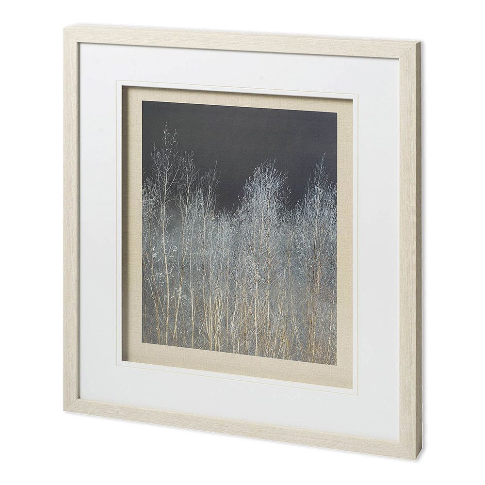 Mercana - Silver Forest I by Frank, Assaf a Framed Art Print Matted under Glass - 11623 view 1
