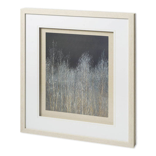 Mercana - Silver Forest I by Frank, Assaf a Framed Art Print Matted under Glass - 11623 view 1
