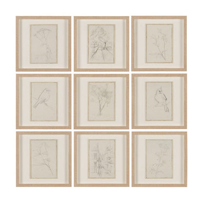 Mercana - Sketch Collection Set of 9 by Mercana Studio a Hand Embellished Framed Art Print Matted under Glas - 15612 view 1