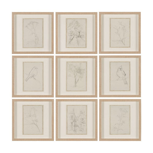 Mercana - Sketch Collection Set of 9 by Mercana Studio a Hand Embellished Framed Art Print Matted under Glas - 15612 view 1