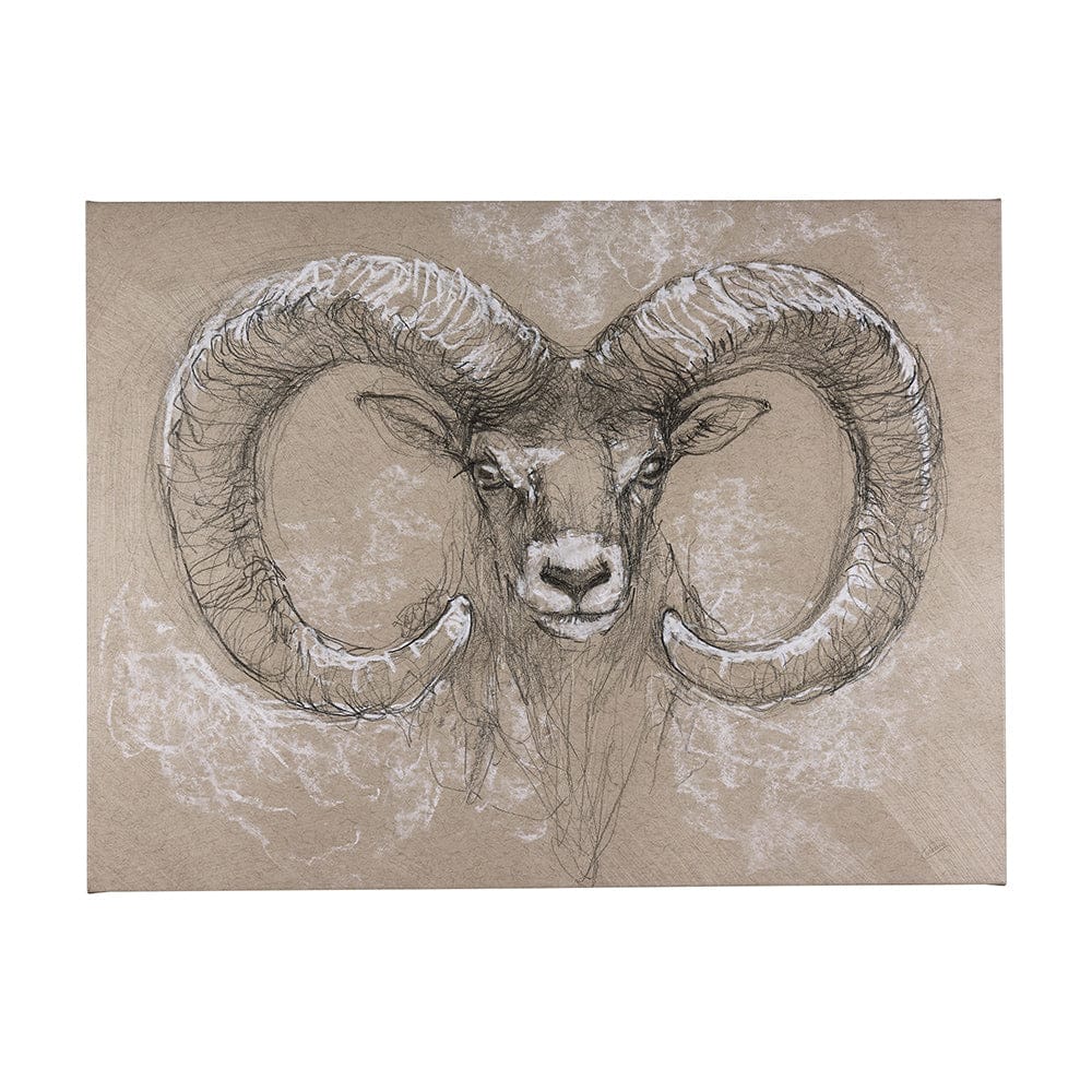 Mercana - Sketch of animal I Wild sheep by Mercana Studio a Hand Embellished Textured Canvas - 102350-L view 1
