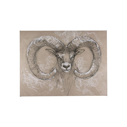 Mercana - Sketch of animal I Wild sheep by Mercana Studio a Hand Embellished Textured Canvas - 102350-S view 1