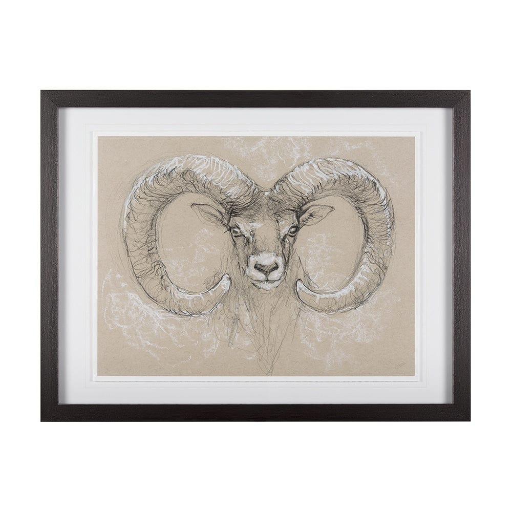Mercana - Sketch of animal I Wild sheep Mercana Studio Hand Embellished Framed Art Print Matted under Glass - 14480 view 1