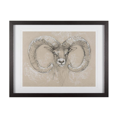 Mercana - Sketch of animal I Wild sheep Mercana Studio Hand Embellished Framed Art Print Matted under Glass - 14480 view 1
