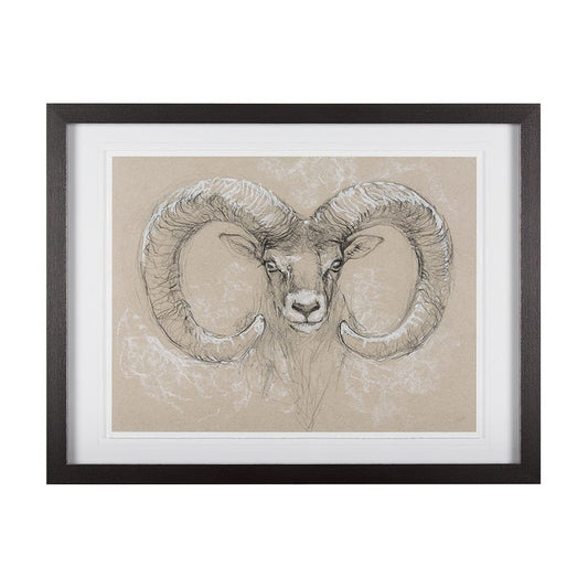 Mercana - Sketch of animal I Wild sheep Mercana Studio Hand Embellished Framed Art Print Matted under Glass - 14480 view 1