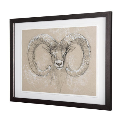 Mercana - Sketch of animal I Wild sheep Mercana Studio Hand Embellished Framed Art Print Matted under Glass - 14480 view 2
