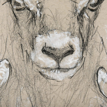 Mercana - Sketch of animal I Wild sheep Mercana Studio Hand Embellished Framed Art Print Matted under Glass - 14480 view 7