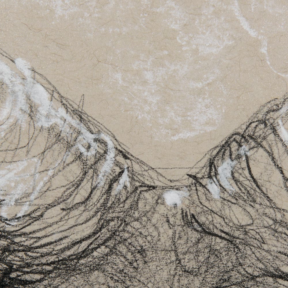 Mercana - Sketch of animal I Wild sheep Mercana Studio Hand Embellished Framed Art Print Matted under Glass - 14480 view 8