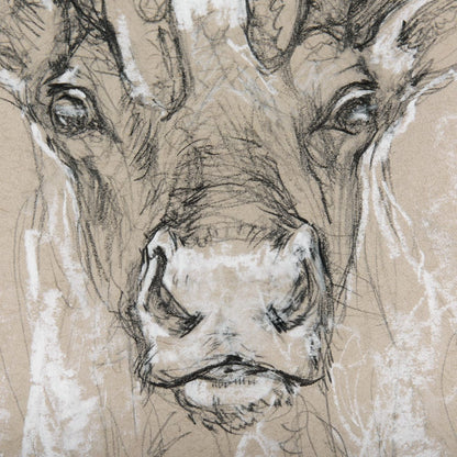 Mercana - Sketch of animal II Caribou by Mercana Studio Hand Embellished Framed Art Print Matted under Glass - 14481 view 6