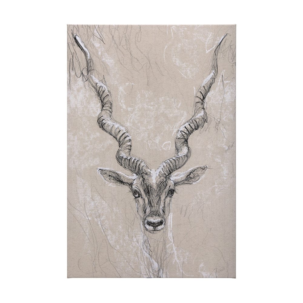 Mercana - Sketch of animal III Antelope by Mercana Studio a Hand Embellished Textured Canvas - 102352-L view 1