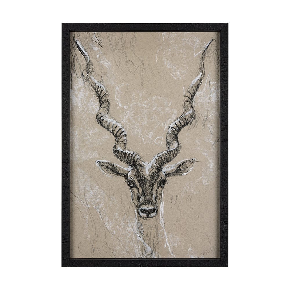 Mercana - Sketch of Animal III Antelope Mercana Studio Hand Embellished Framed Art Print Matted under Glass - 14470 view 1