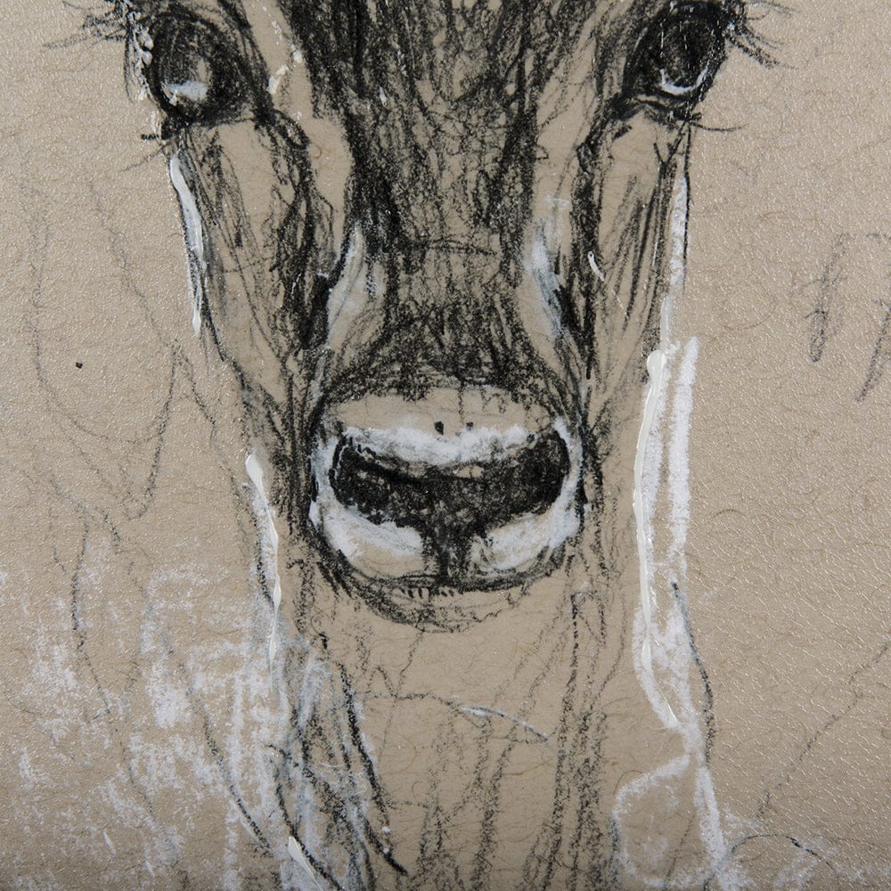 Mercana - Sketch of Animal III Antelope Mercana Studio Hand Embellished Framed Art Print Matted under Glass - 14470 view 6