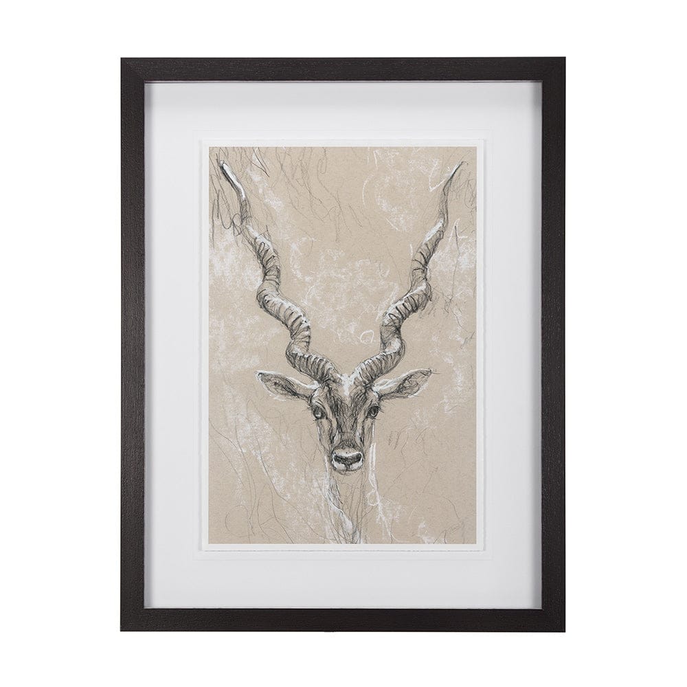 Mercana - Sketch of Animal III Antelope Mercana Studio Hand Embellished Framed Art Print Matted under Glass - 14475 view 1