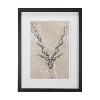 Mercana - Sketch of Animal III Antelope Mercana Studio Hand Embellished Framed Art Print Matted under Glass - 14475 view 1