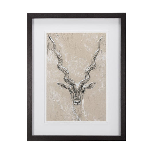 Mercana - Sketch of Animal III Antelope Mercana Studio Hand Embellished Framed Art Print Matted under Glass - 14475 view 1