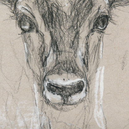 Mercana - Sketch of Animal III Antelope Mercana Studio Hand Embellished Framed Art Print Matted under Glass - 14475 view 6