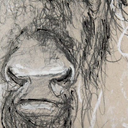 Mercana - Sketch of Animal IX Bison by Mercana Studio Hand Embellished Framed Art Print Matted under Glass - 14487 view 6