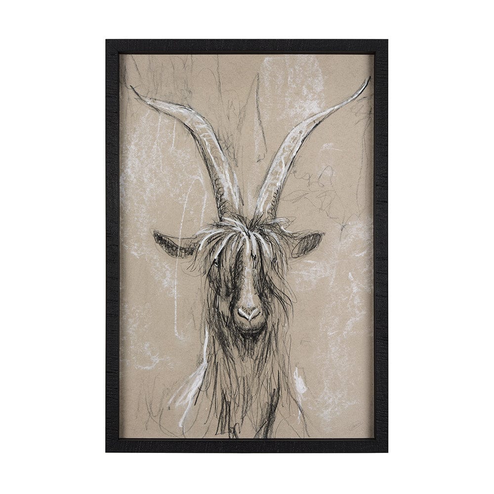 Mercana - Sketch of Animal V Goat by Mercana Studio Hand Embellished Framed Art Print Matted under Glass - 14472 view 1